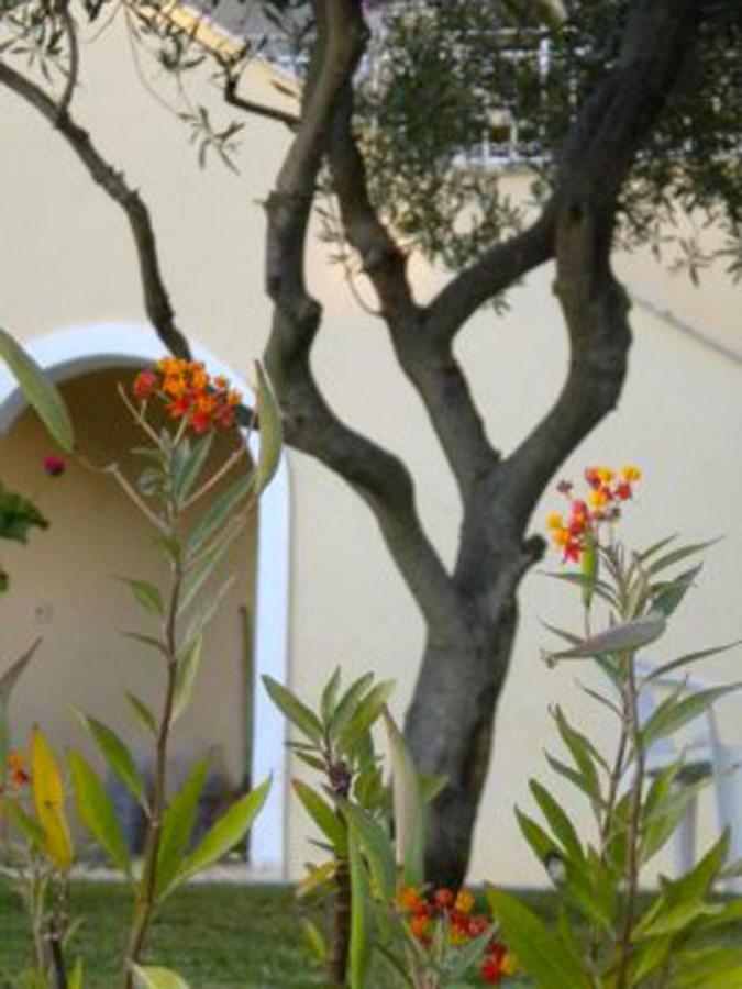 Natalia Apartment B With Panoramic Sea Views Of Agios Gordios Bay Exterior foto
